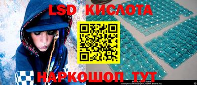 крисы Бийск