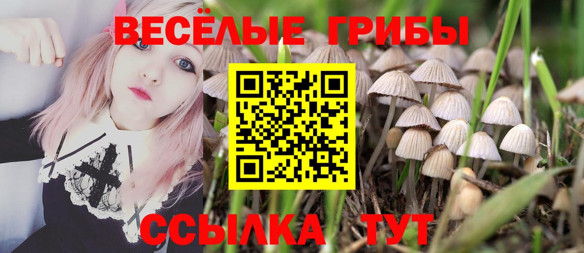 Борзя  Псилоцибиновые грибы MAGIC MUSHROOMS  Вход с VPN  Галлюциногенные грибы MAGIC MUSHROOMS 